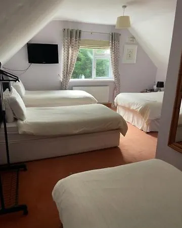 Padua Guest Rosslare Rosslare Harbour