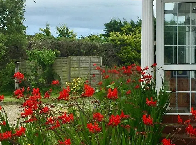 Padua Guest Rosslare