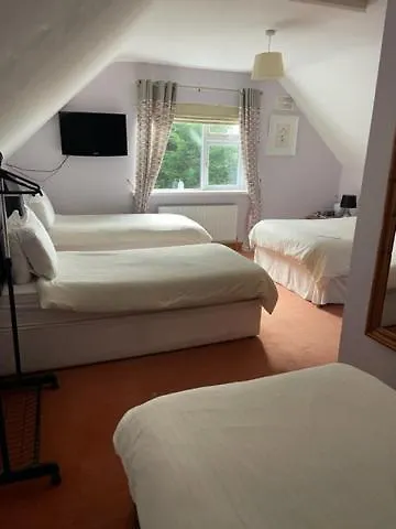 Padua Guest Rosslare Рослэр